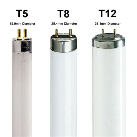 What are T12 light fixtures?